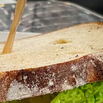 Turkey Roasted Peppers Sandwich.